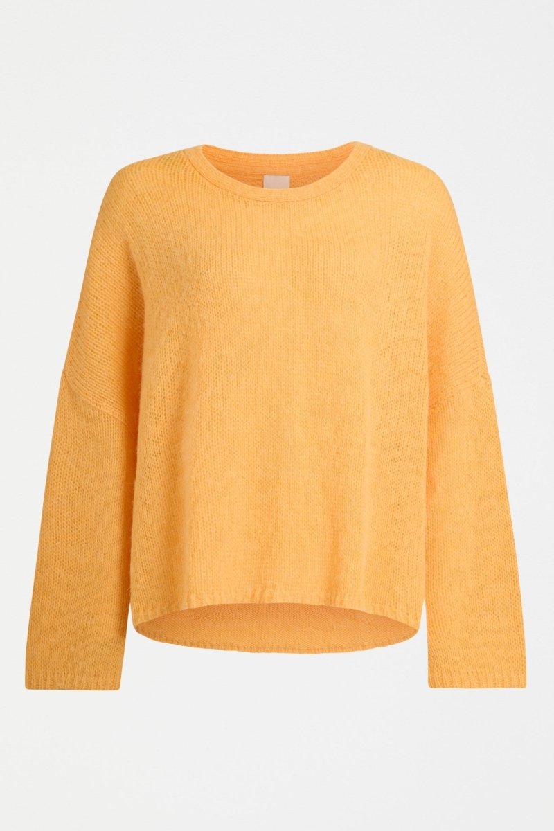 | CANTALOUPE
