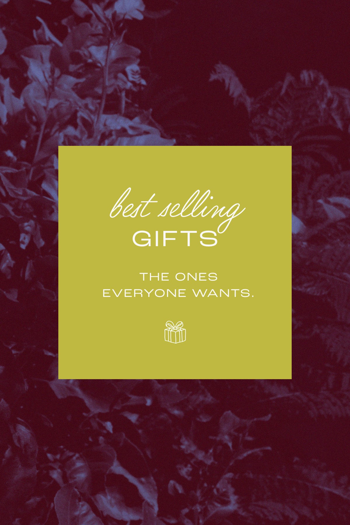 Jewellery gifts: temporary placeholder artwork