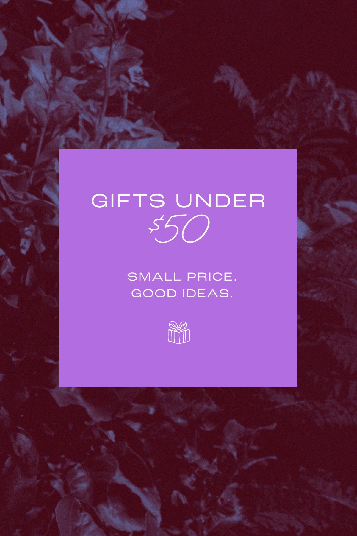 Shop gifts under $50