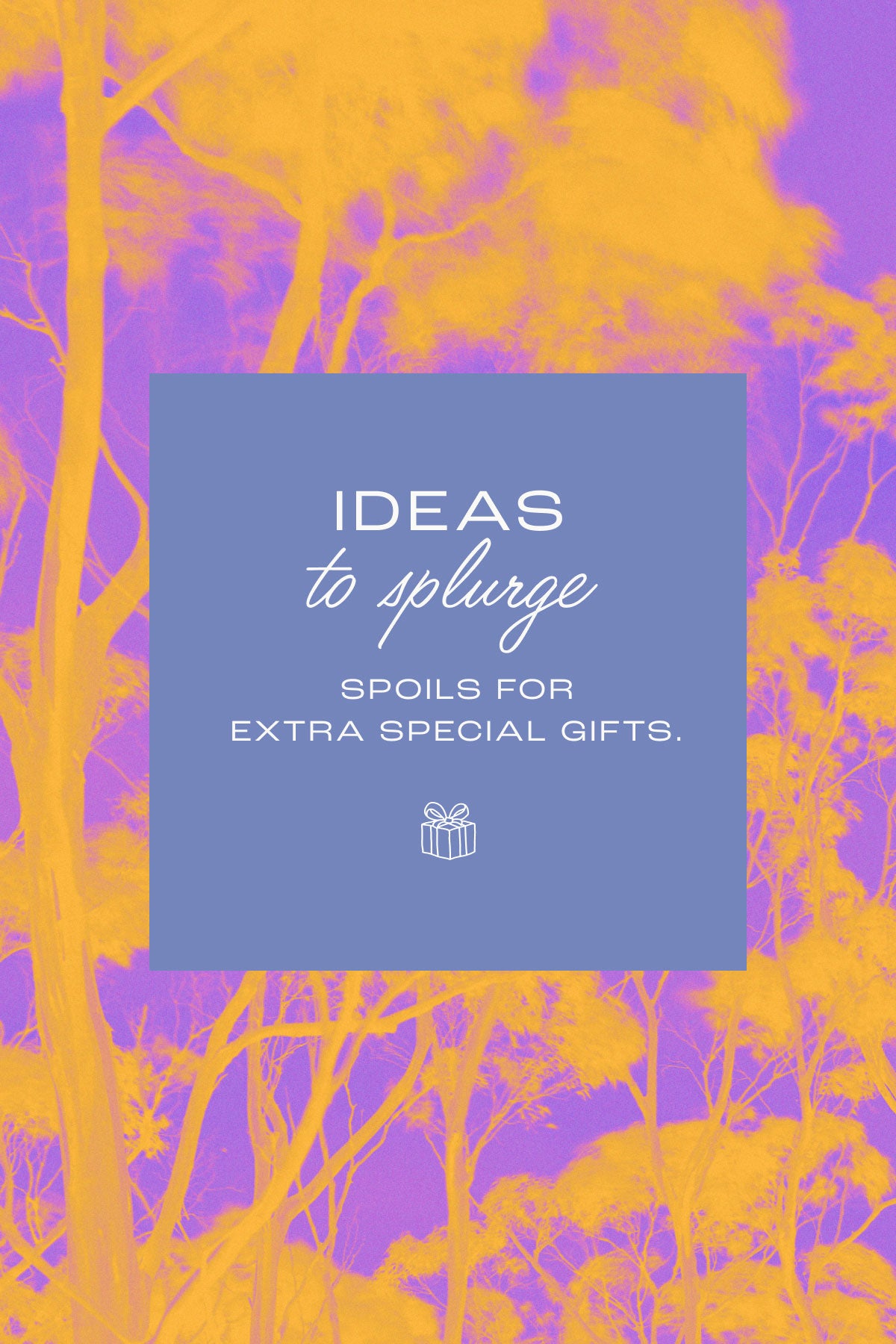 SHOP IDEAS TO SPLURGE