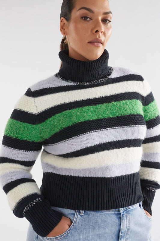 Olli Striped Multi Thread Cotton Wool Ribbed Roll Neck Sweater Curve Model Front | MULTI STRIPE